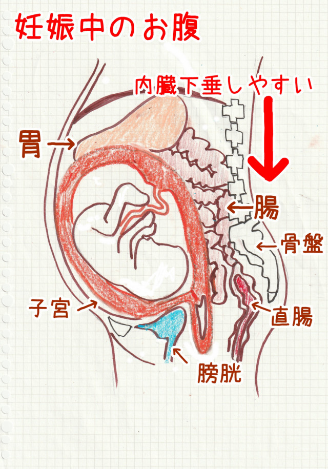 妊娠 中 あばら が 痛い